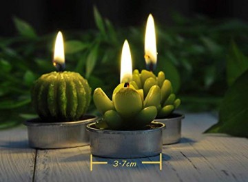 LA BELLEFÉE Kerzen Kaktus Teelicht Kerzen Sukkulenten Kerzen rauchfreie Kerzen für Home Dekoration und Weihnachten Geschenke - 6er Set - 4