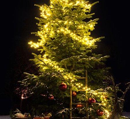 Lichterkette Weihnachtsbaum kaufen